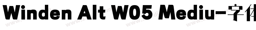 Winden Alt W05 Mediu字体转换